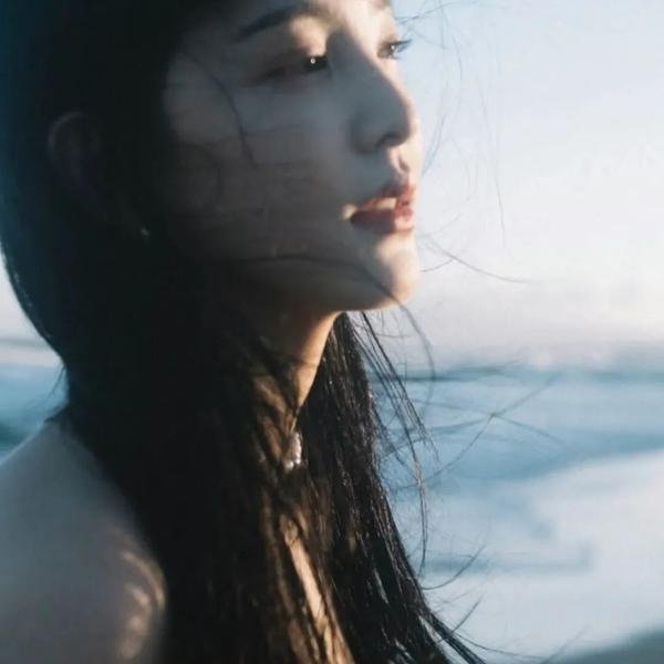 长毛狗